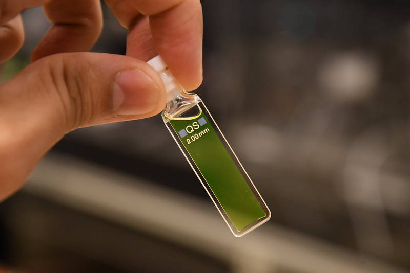 Dynamic spectral fluorescence microscopy via event-based & CMOS image-sensor fusion thumbnail